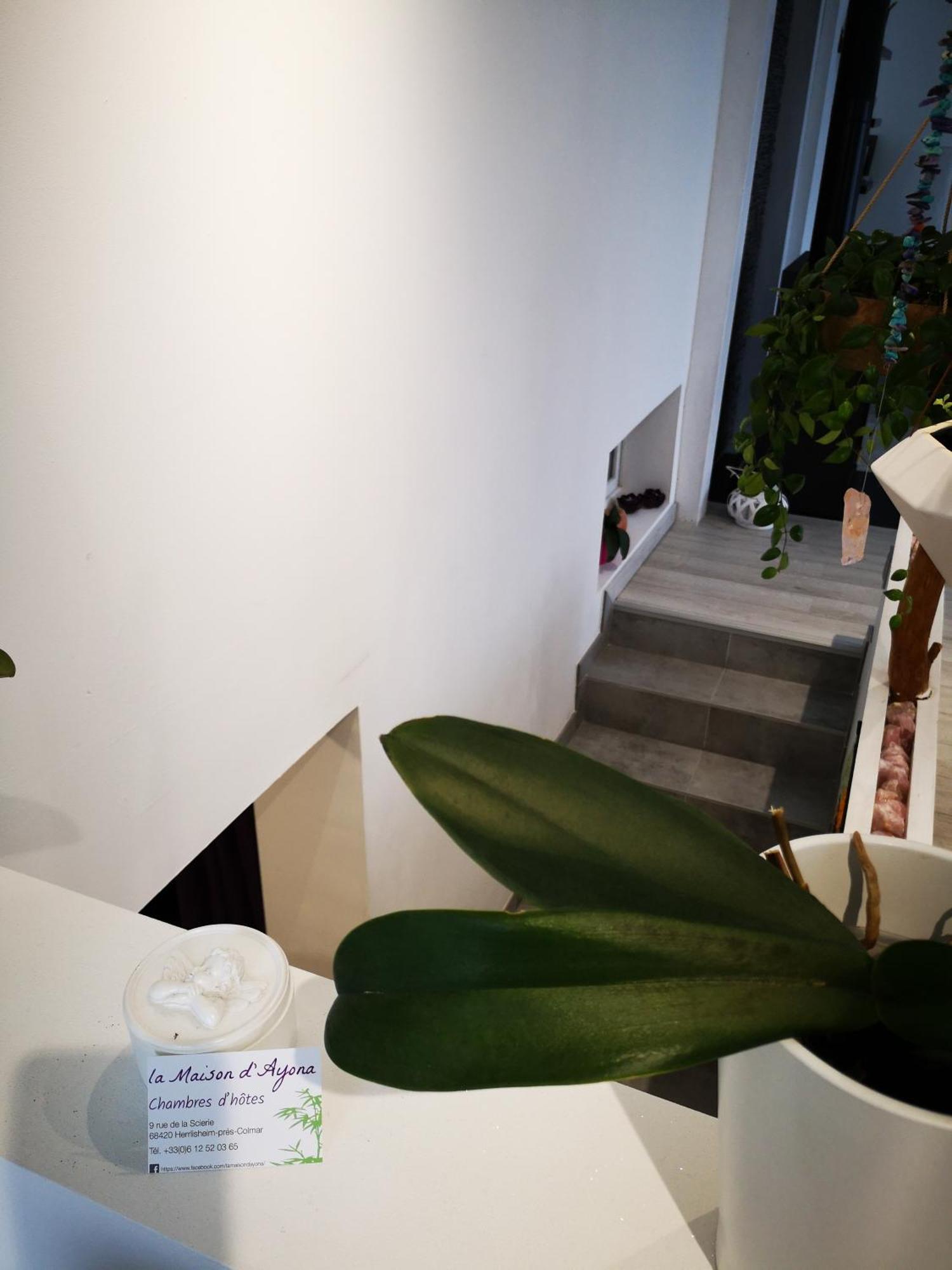La Maison D'Ayona Herrlisheim-près-Colmar 部屋 写真